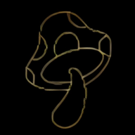 小蘑菇视频编辑