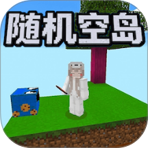 随机空岛3